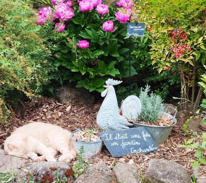 Photo of Others in Segrie