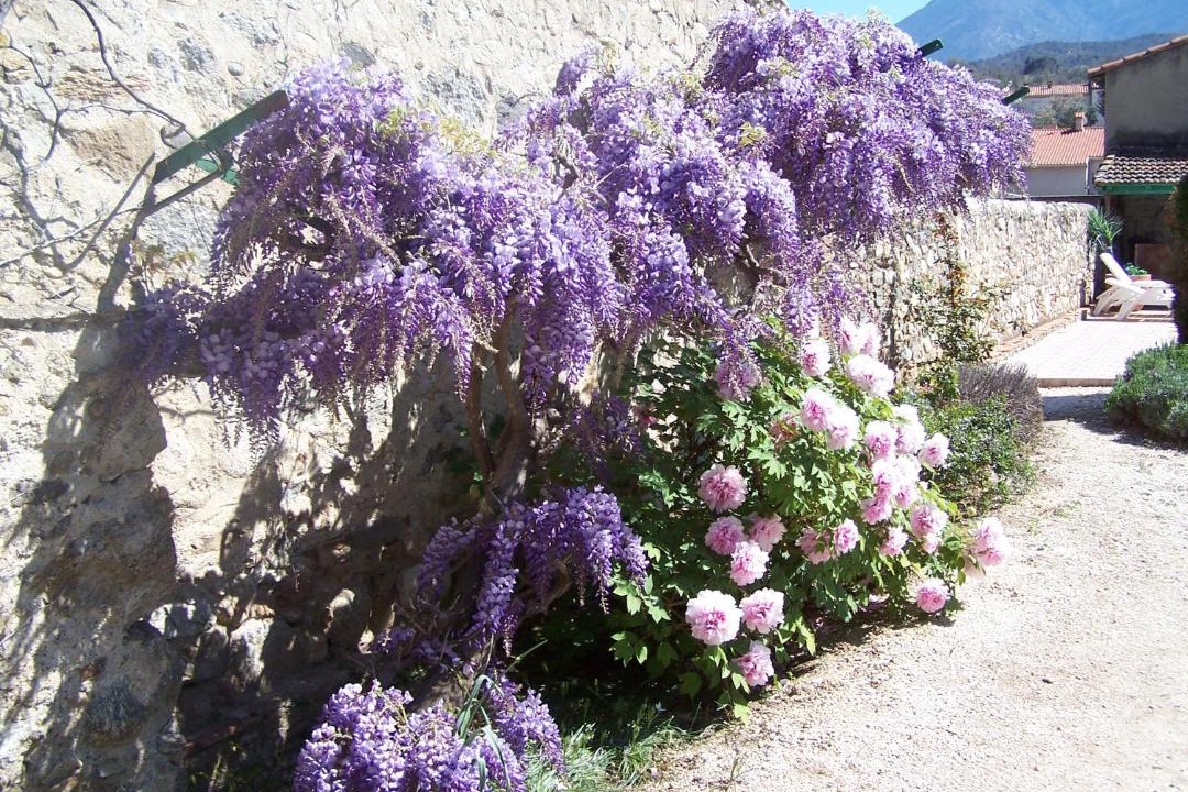 Photo of Others in Prades