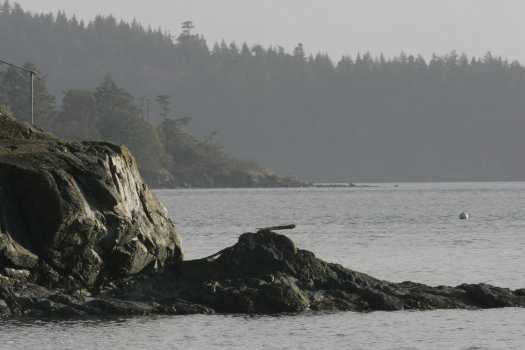 Photo of Others in La Conner