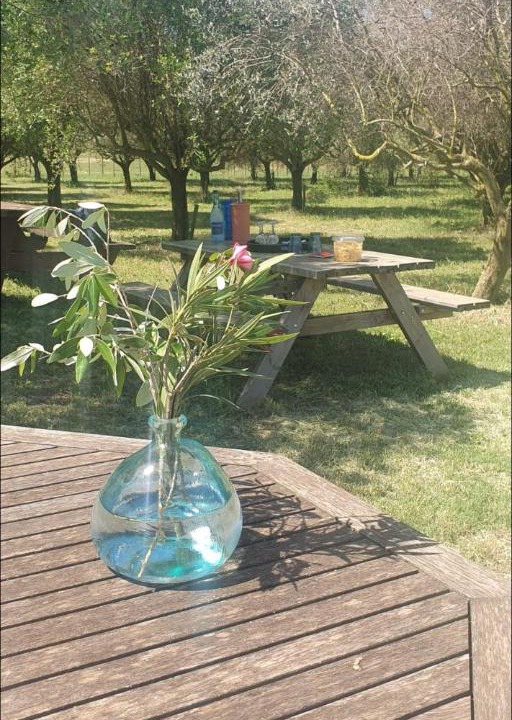 Photo of Others in Le Cailar