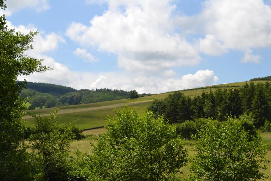 Photo of Others in Chissey-en-Morvan