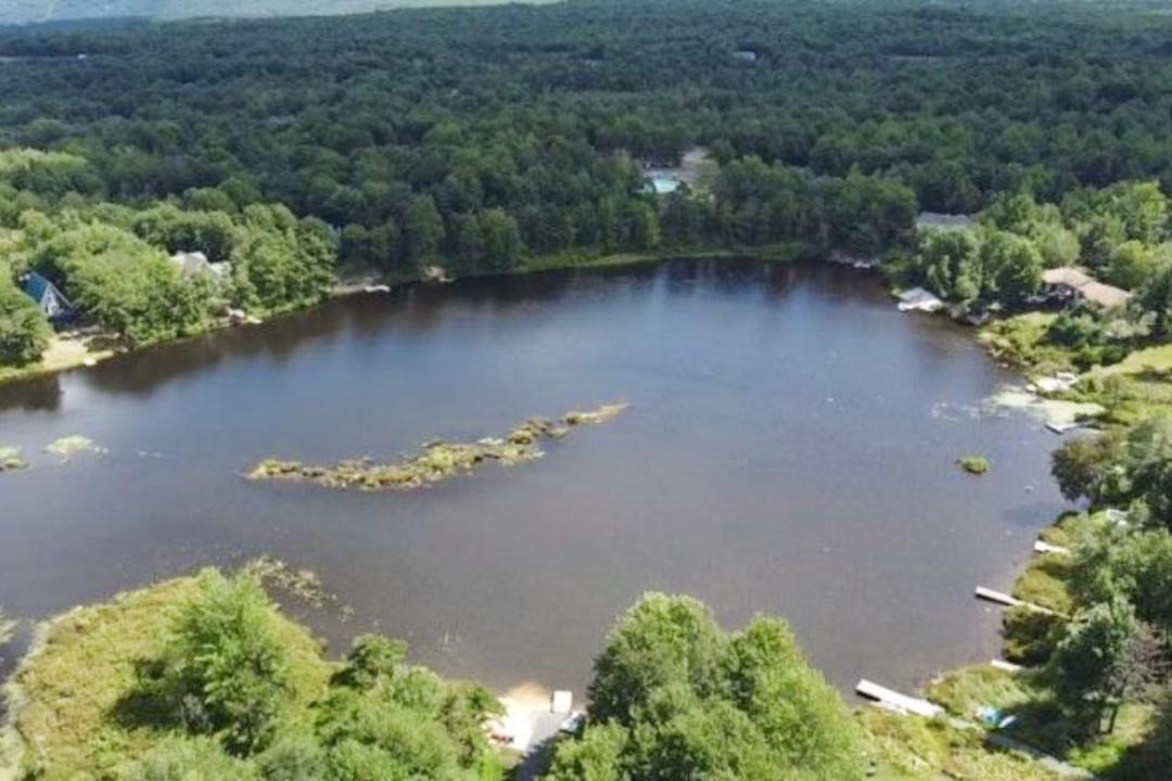 Photo of Others in Long Pond