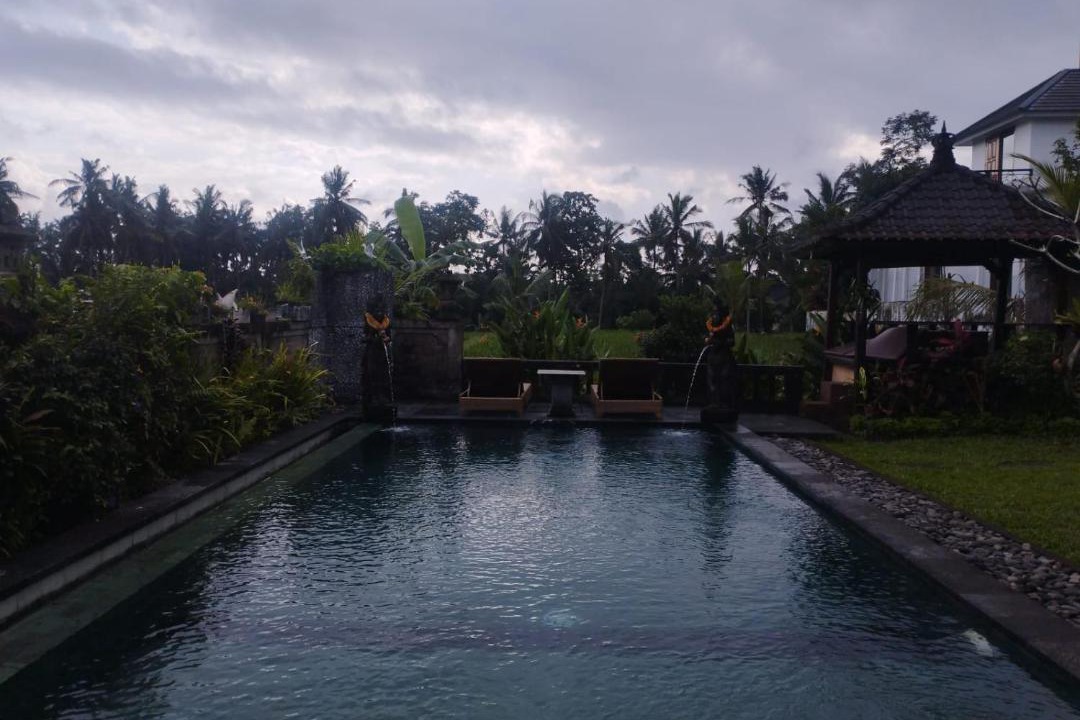 Photo of Others in Petulu