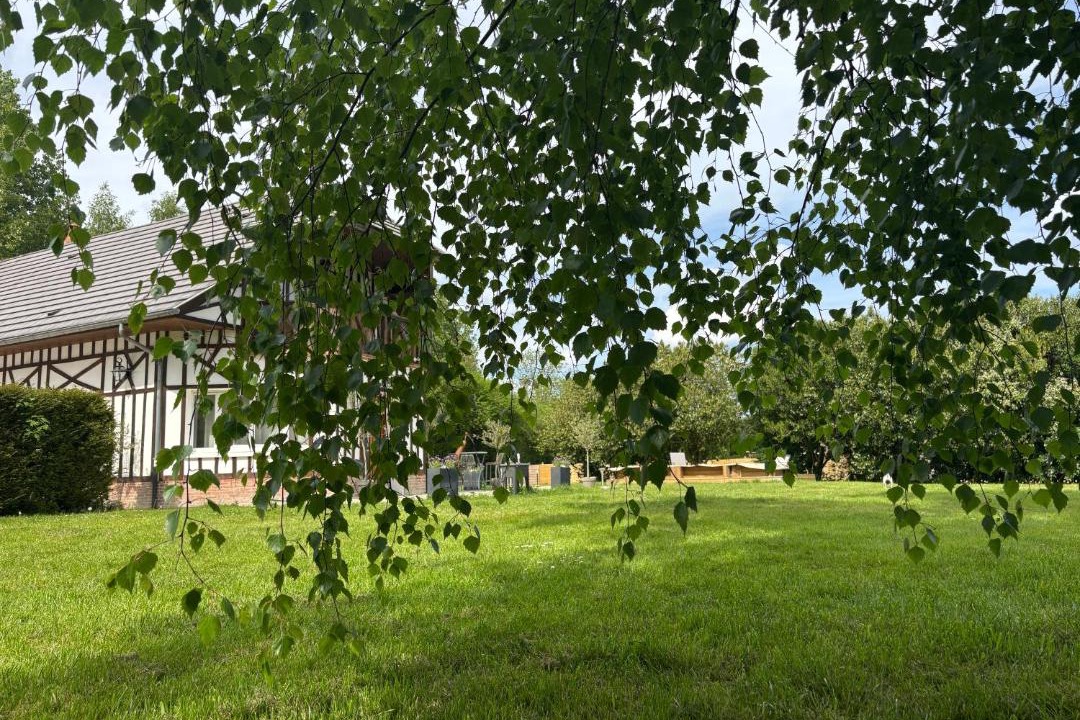 Photo of Others in Bettembos