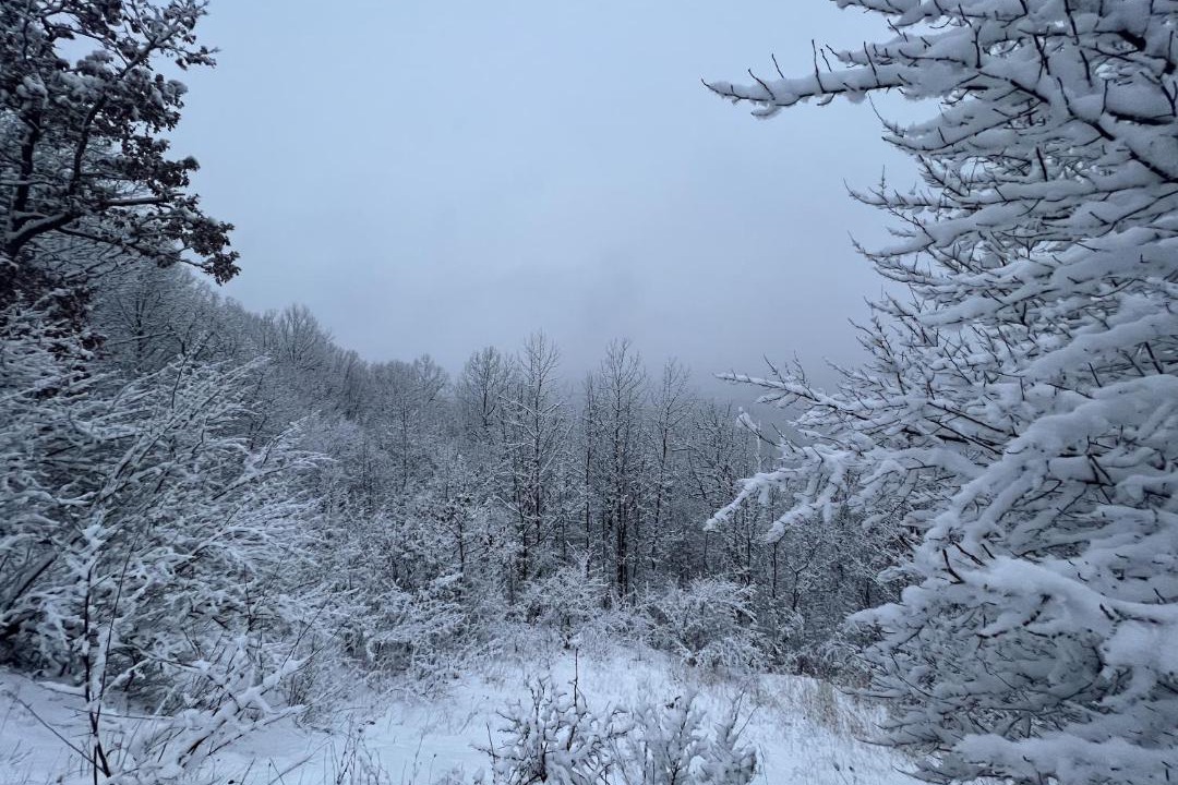 Photo of Others in Cuyahoga Falls