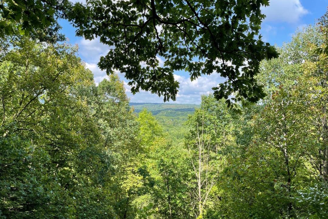 Photo of Others in Cuyahoga Falls