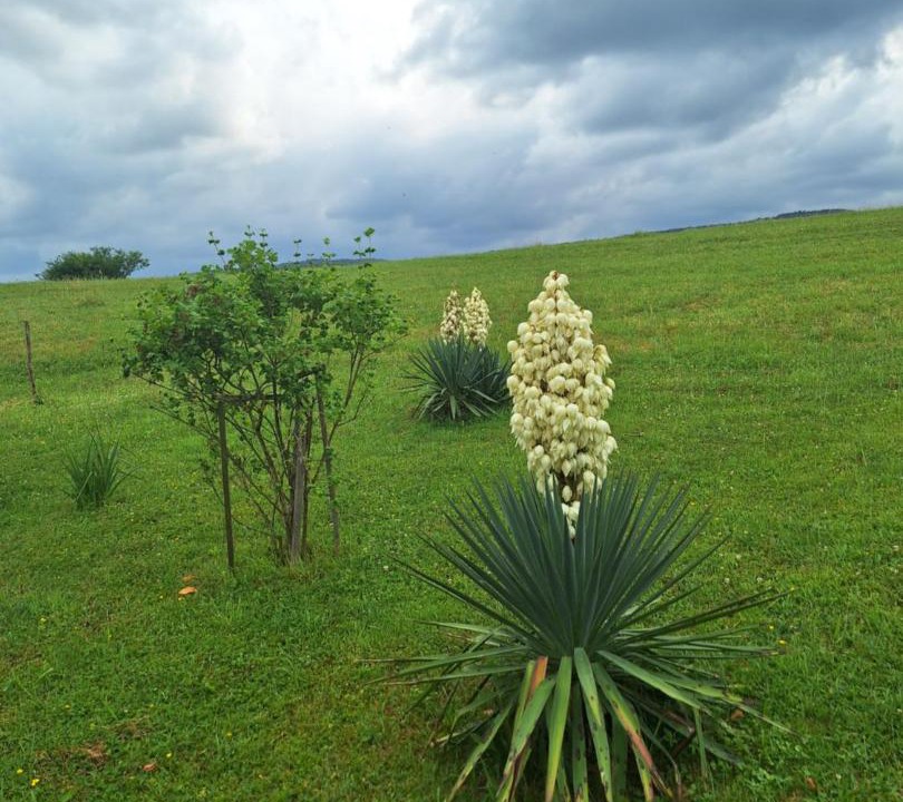 Photo of Outdoor in Ostarski Stanovi