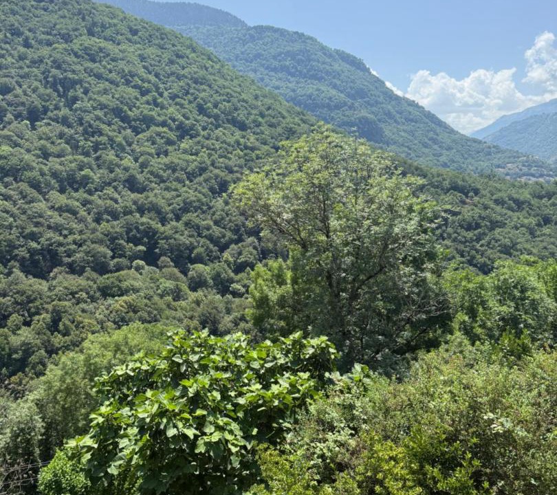Photo of Others in Melles