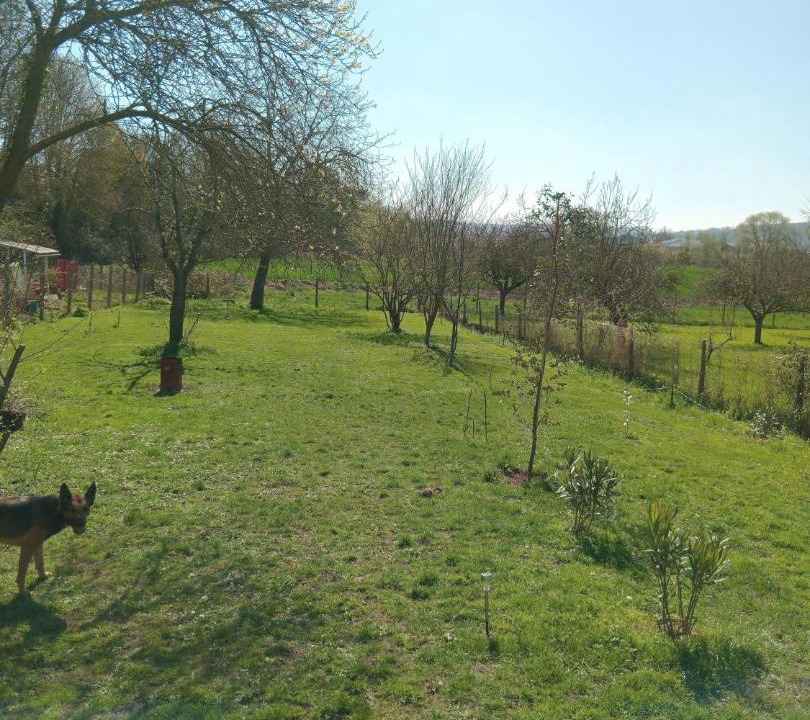 Photo of Others in Courcelles-sur-Seine
