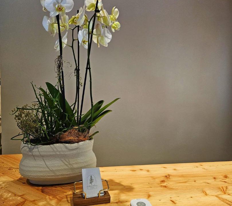 Photo of Others in Oberwald