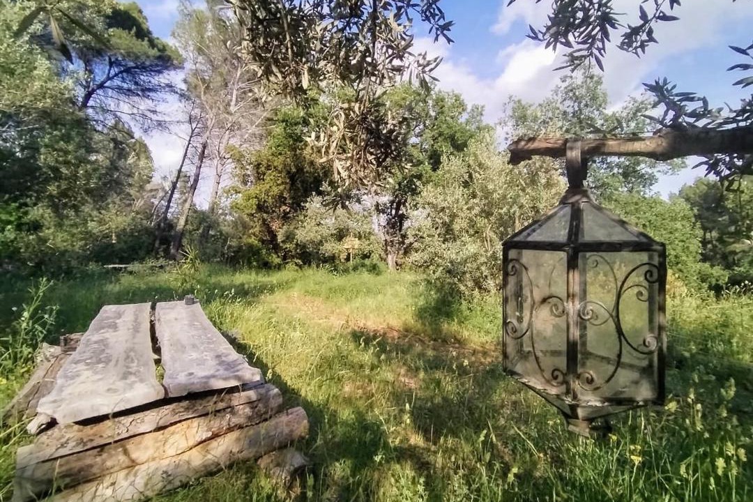 Photo of Others in Salernes