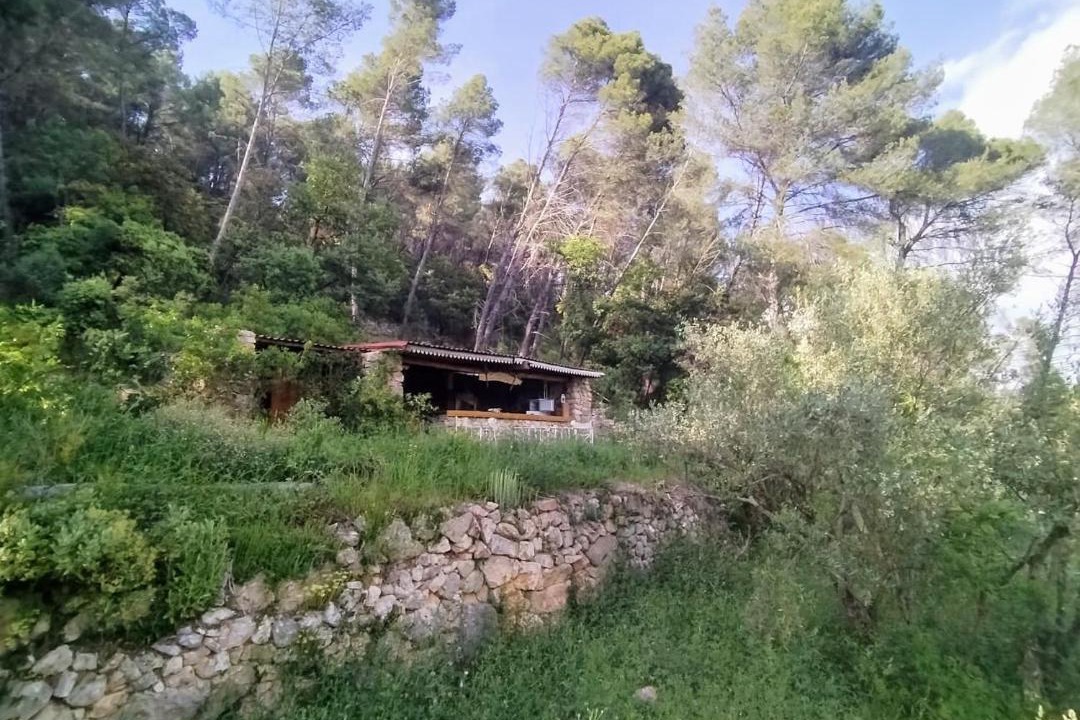 Photo of Others in Salernes