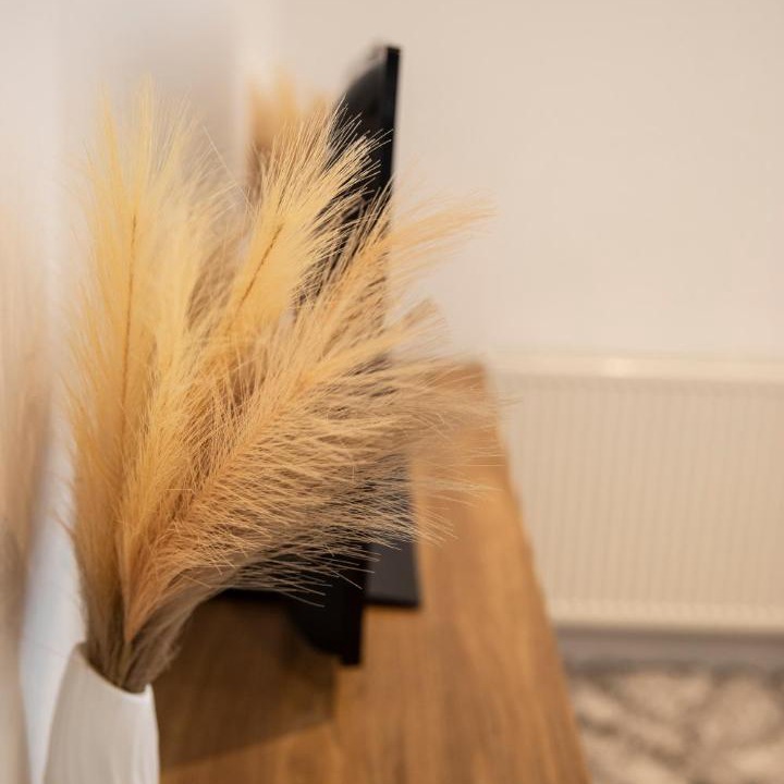 Photo of Others in Maidstone