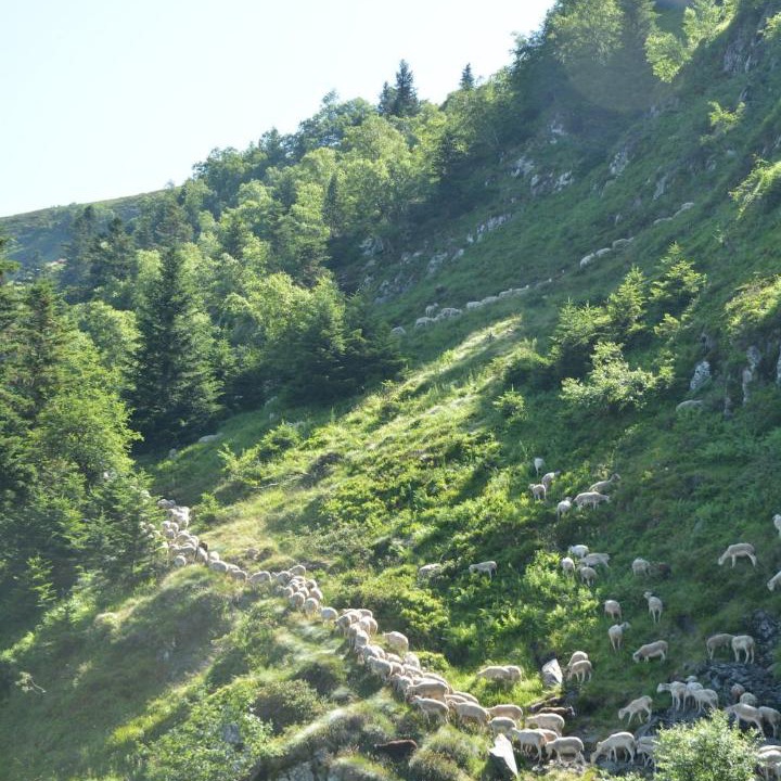 Photo of Others in Melles