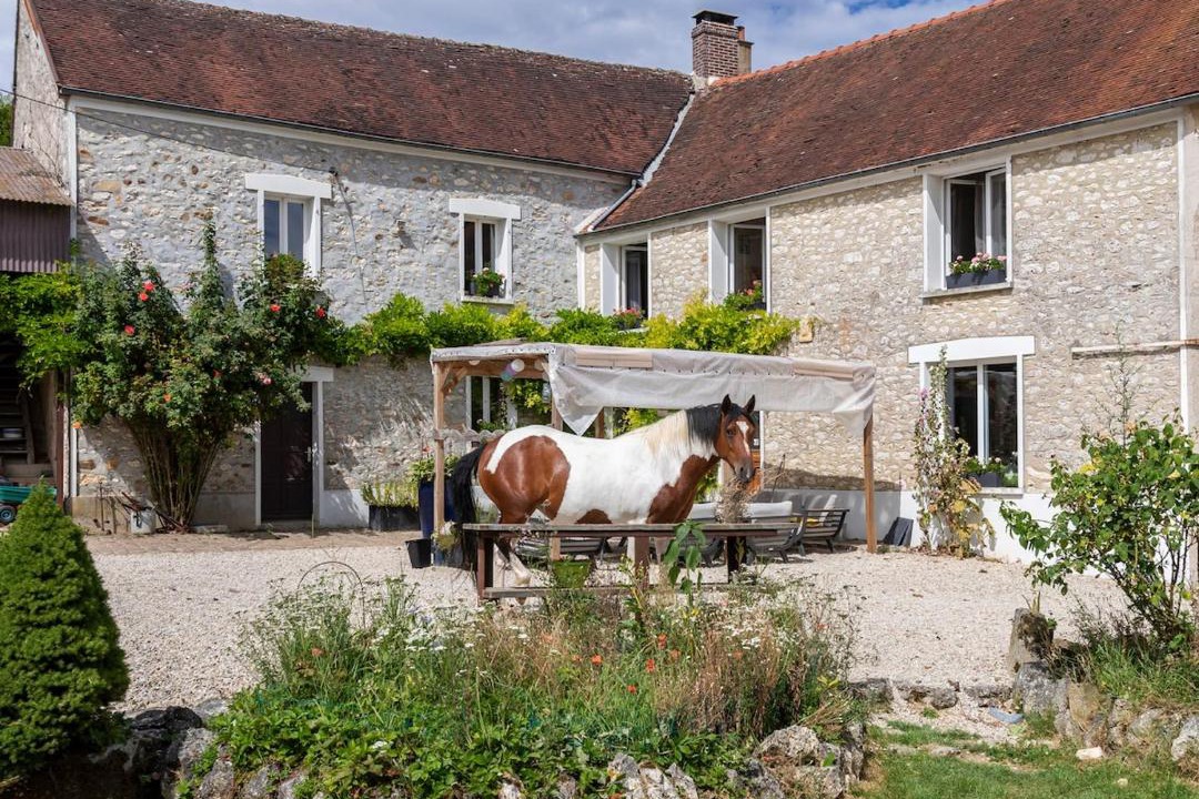 Photo of Others in Saint-Mars-Vieux-Maisons