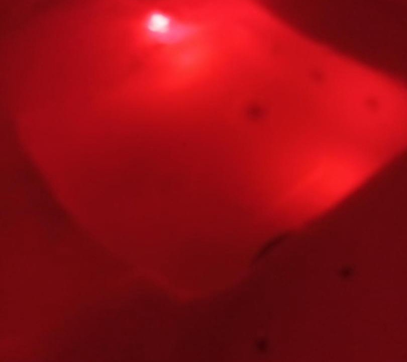 Photo of Others in Tulette