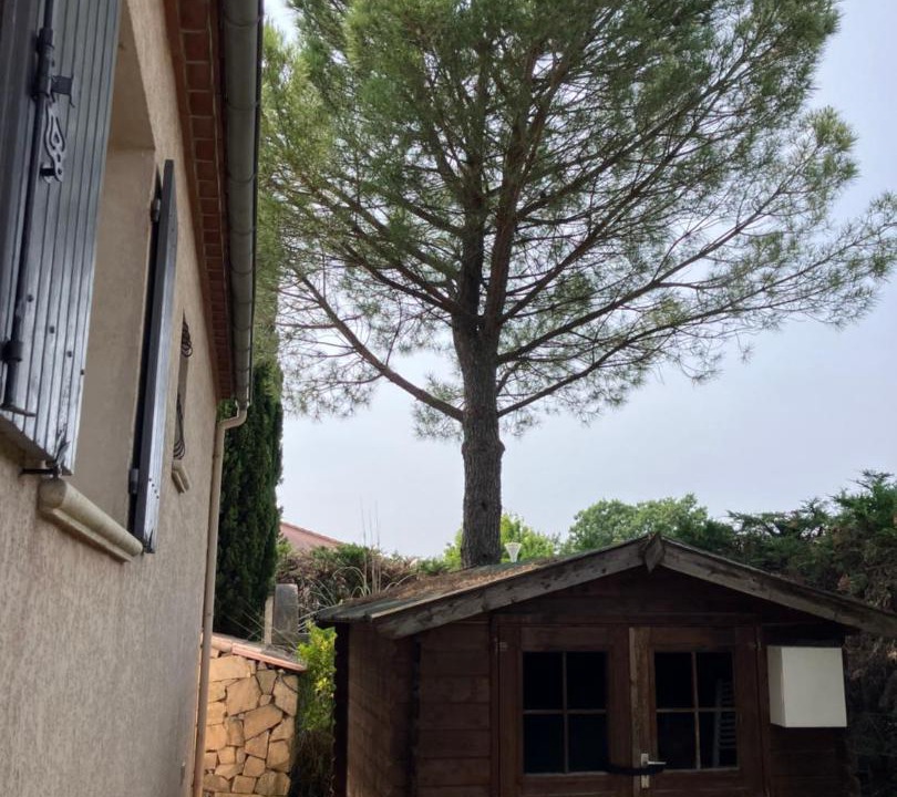 Photo of Others in Ales