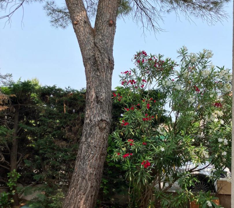 Photo of Others in Ales