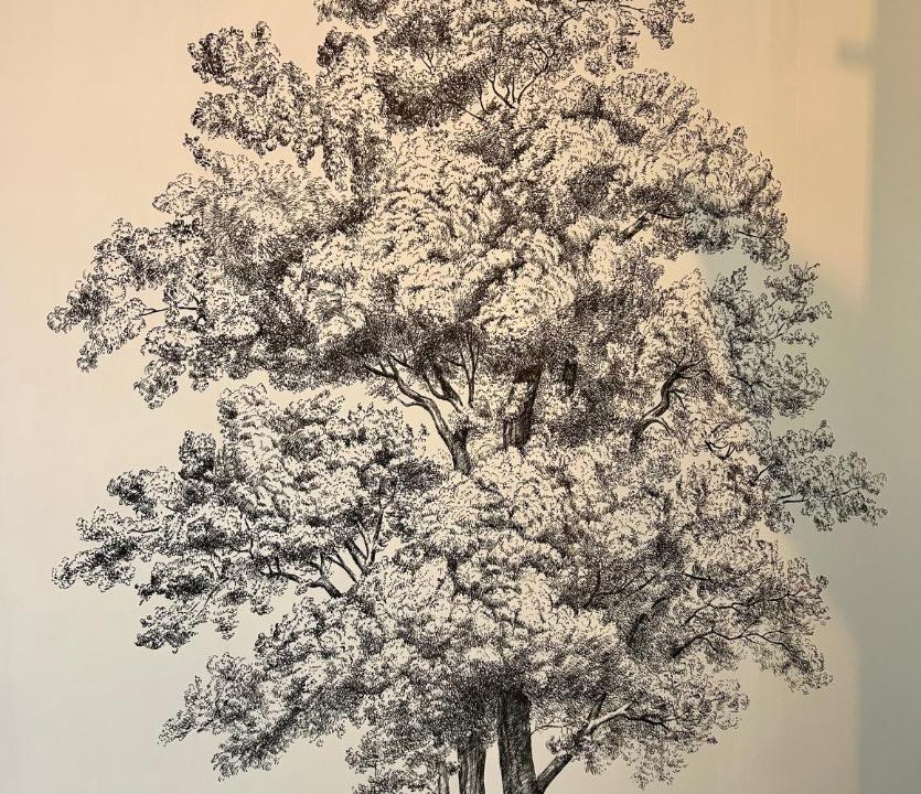 Photo of Others in Bas de Venoix