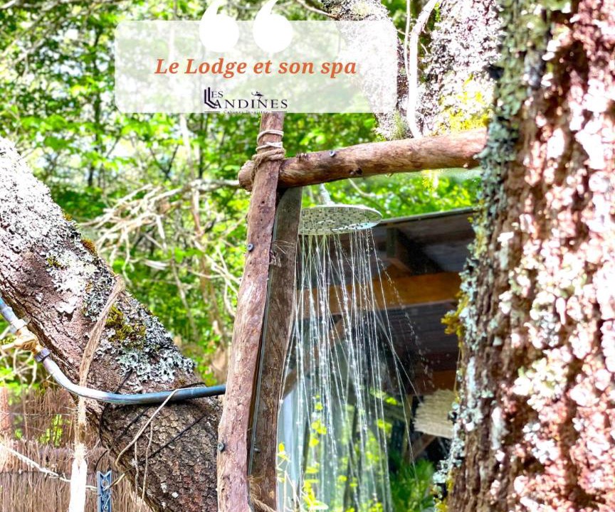 Photo of Others in Origne