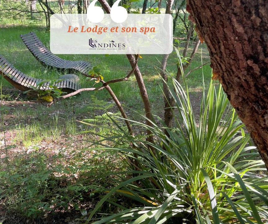 Photo of Others in Origne