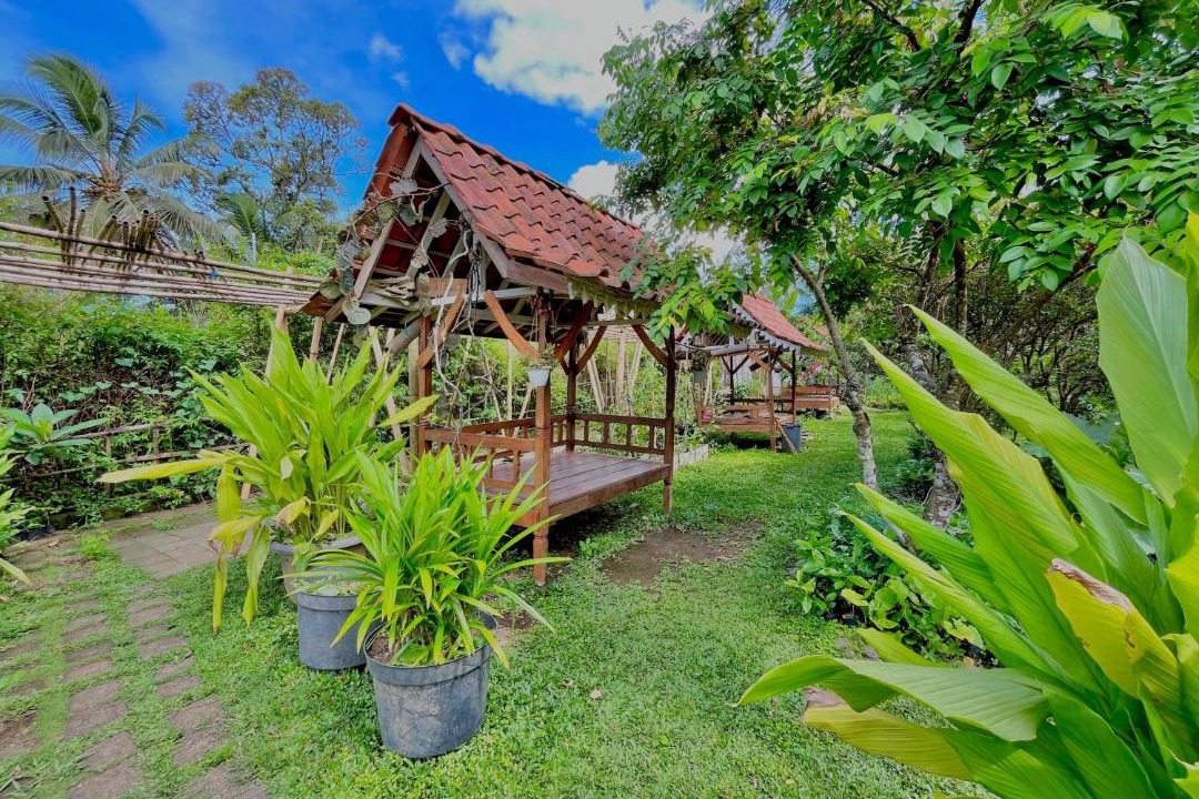 Photo of Others in Banyuwangi