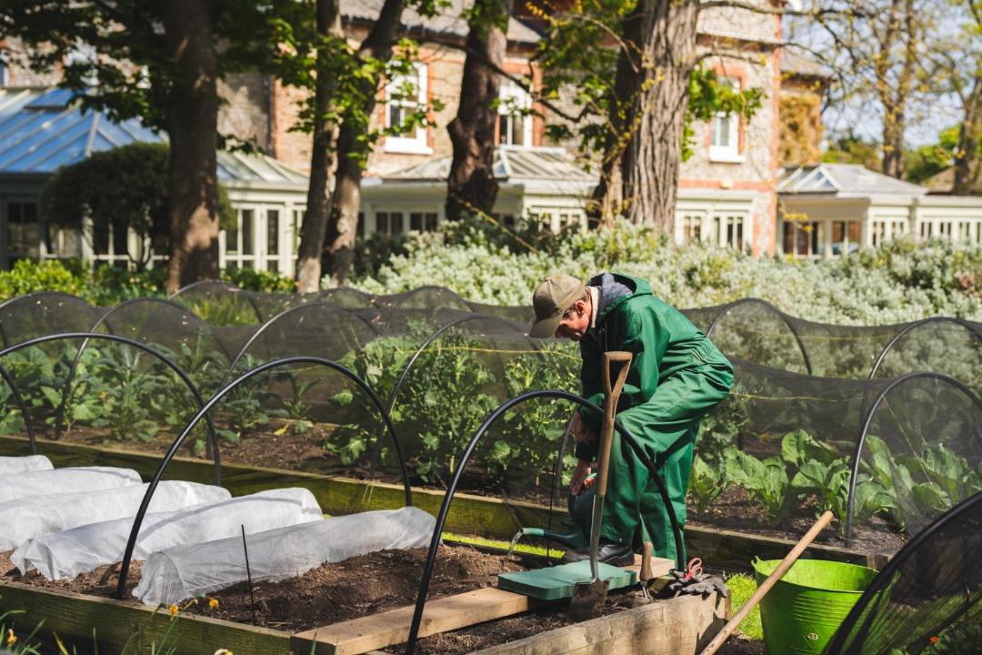 Photo of Others in Morston