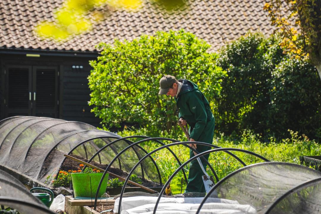 Photo of Others in Morston