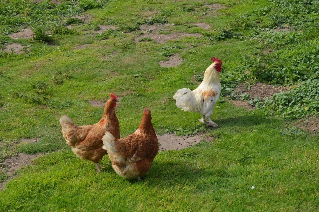 Photo of Others in Palgrave