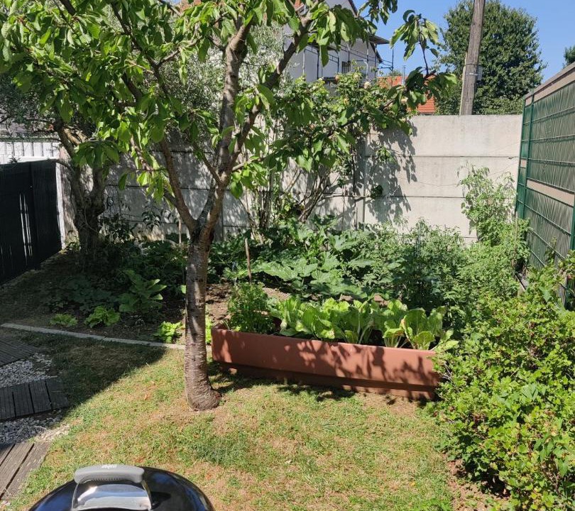 Photo of Others in Champigny-sur-Marne