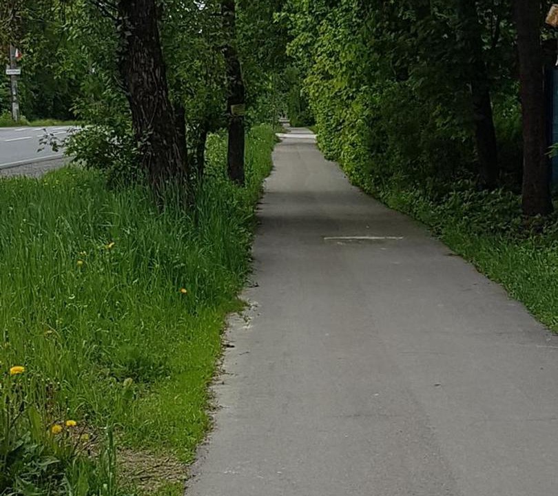 Photo of Others in Kurortny District