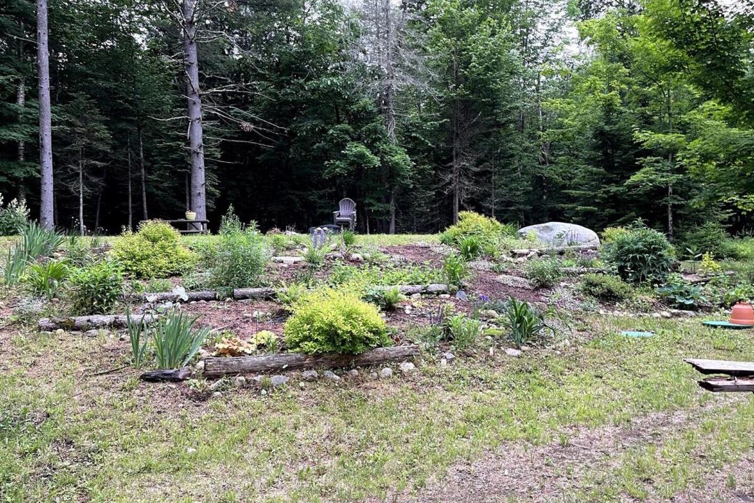 Photo of Outdoor in North Creek