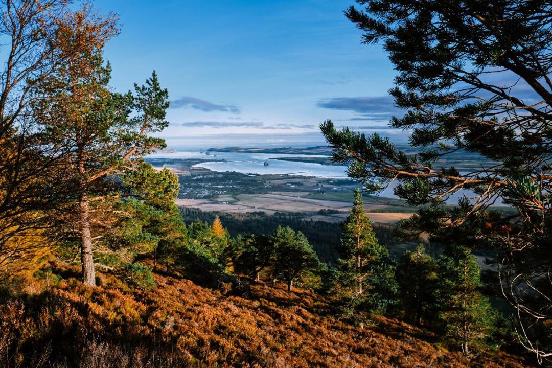 Photo of Others in Cromarty Firth