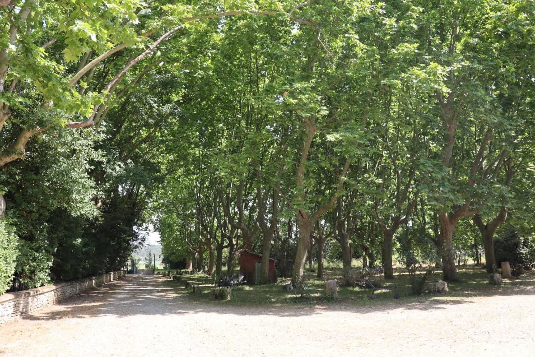 Photo of Outdoor in Calvisson