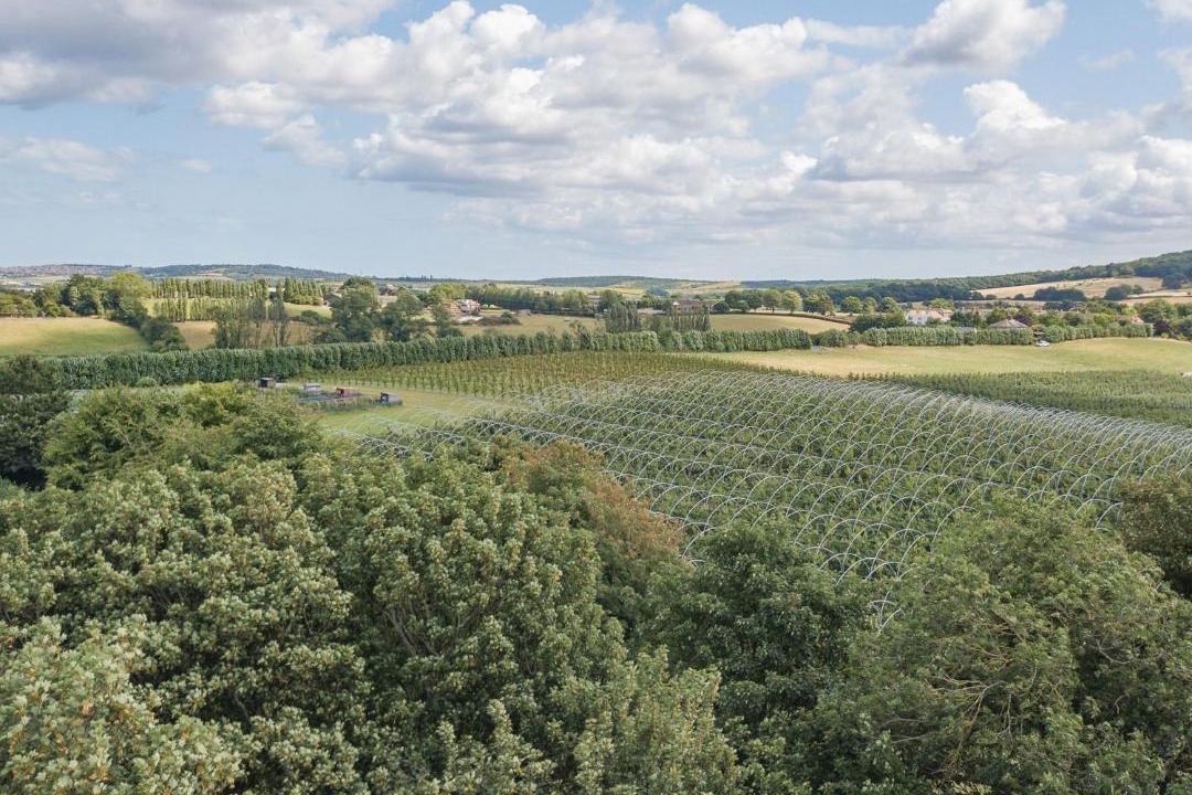 Photo of Others in Hernhill