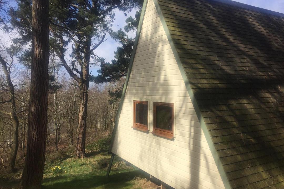 Photo of Others in Linlithgow