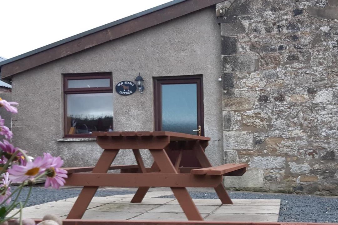 Photo of Others in Kilkenzie