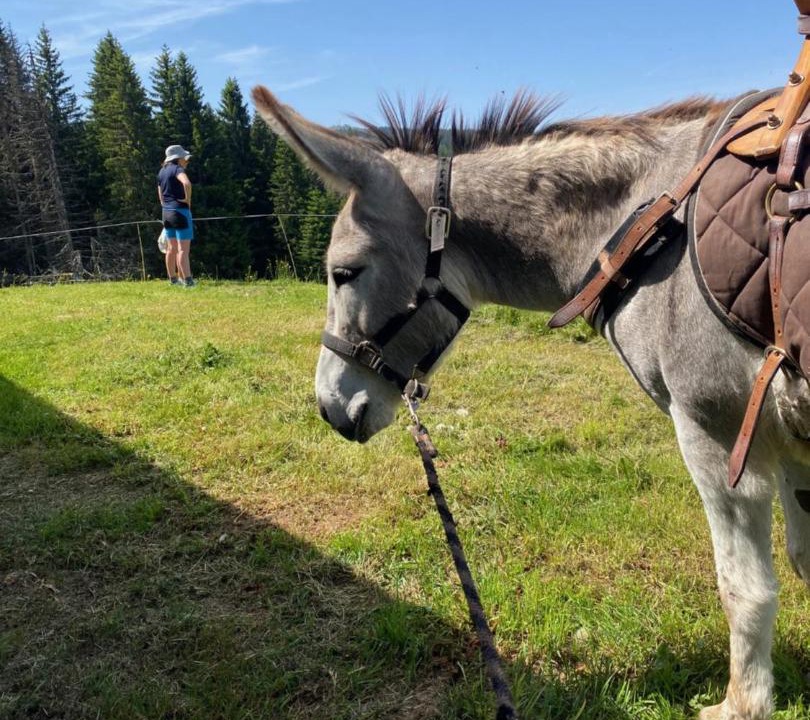 Photo of Others in Cohennoz