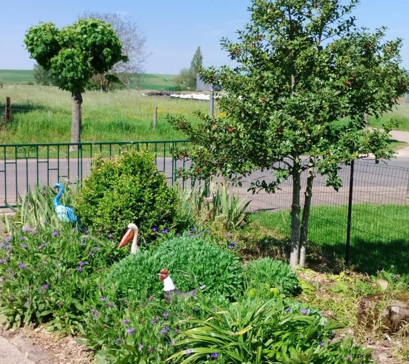 Photo of Outdoor in Hampont