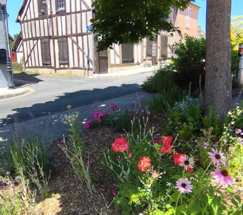 Photo of Others in Chaumont-sur-Tharonne