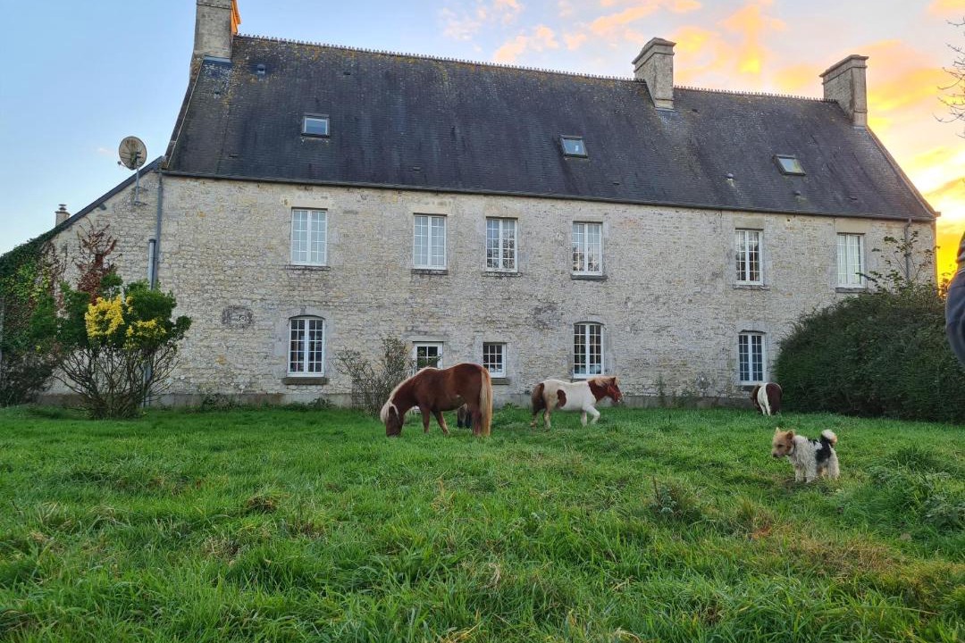 Photo of Others in Sainte-Marie-du-Mont