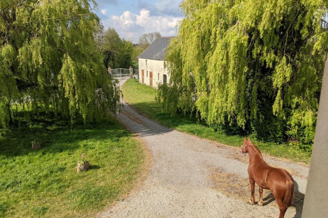 Photo of Others in Sainte-Marie-du-Mont