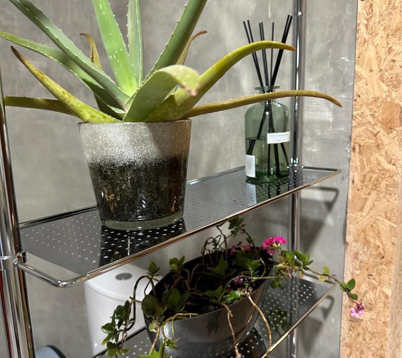 Photo of Others in Avion