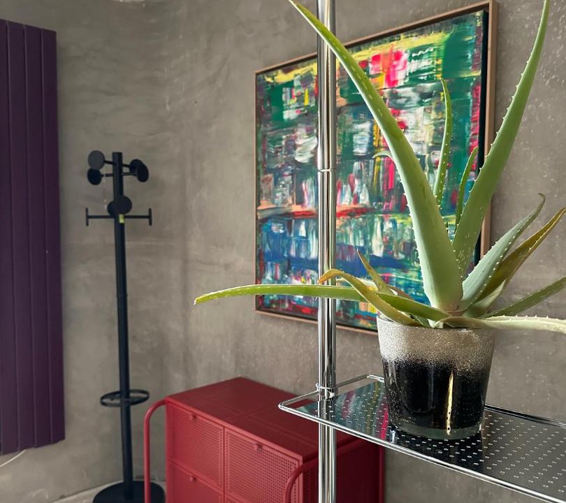 Photo of Others in Avion