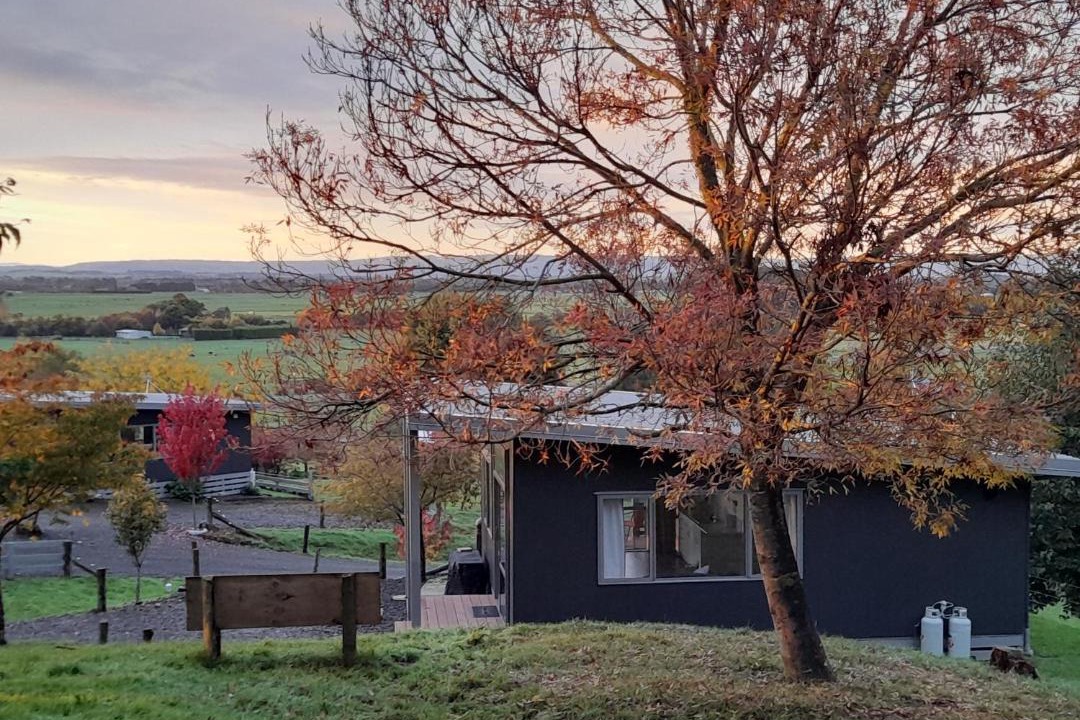 Photo of Others in Feilding