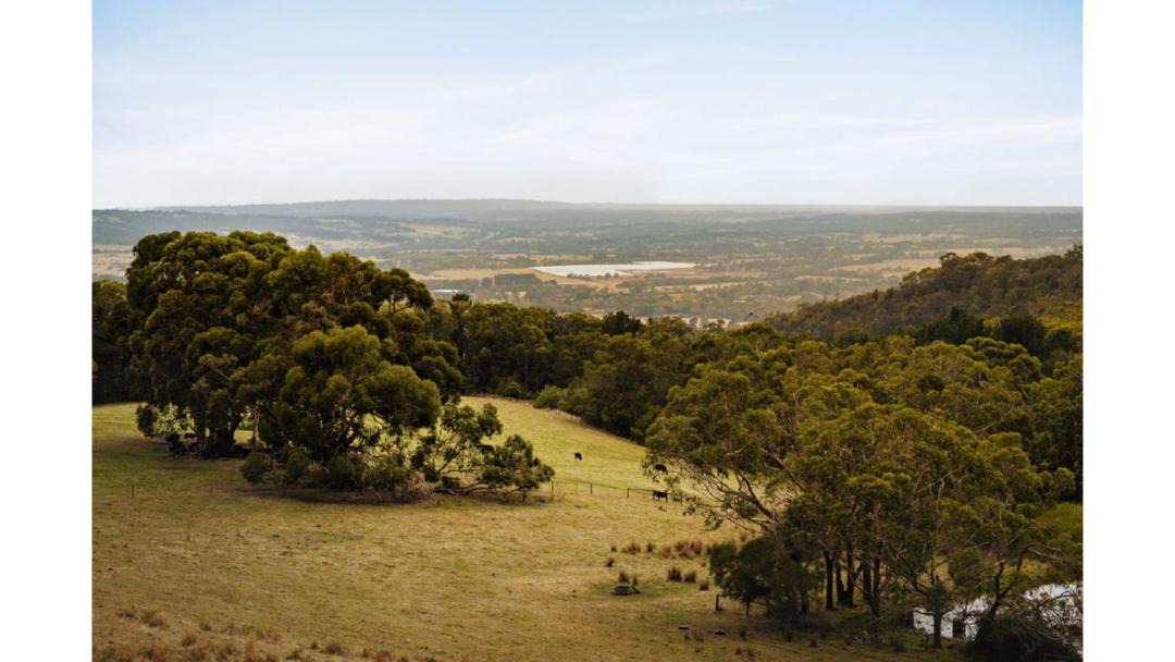 Photo of Others in Red Hill