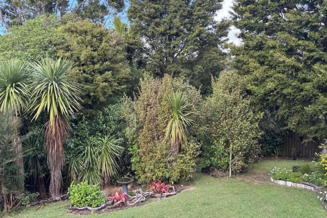 Photo of Others in Tawharanui