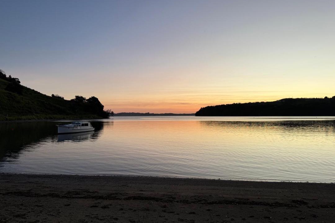 Photo of Others in Tawharanui