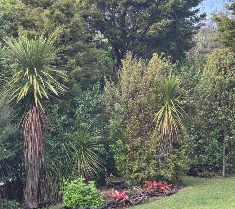 Photo of Outdoor in Tawharanui