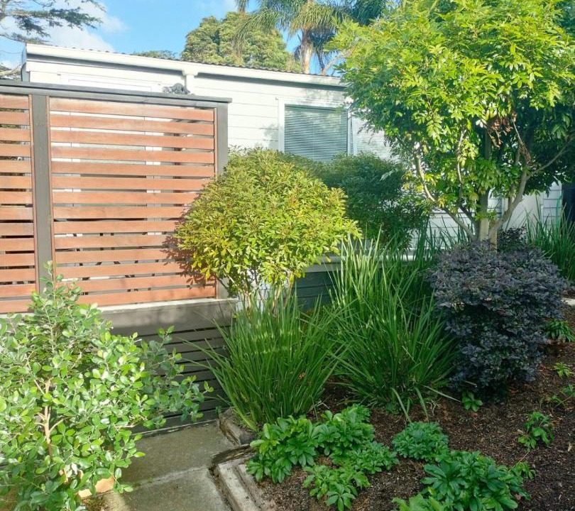 Photo of Others in Manly